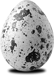 Luxury residential housekeeping London